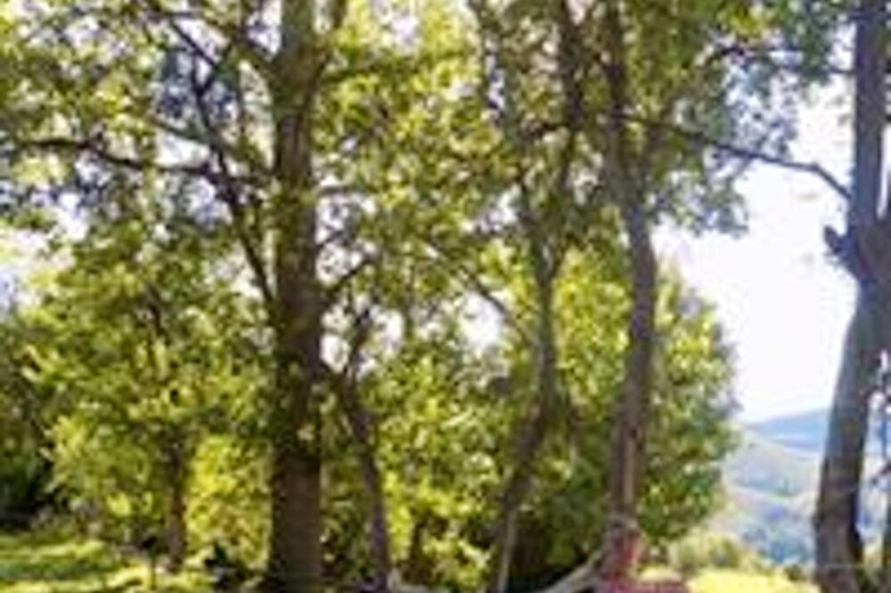 Photo of Outdoor in Ardanue