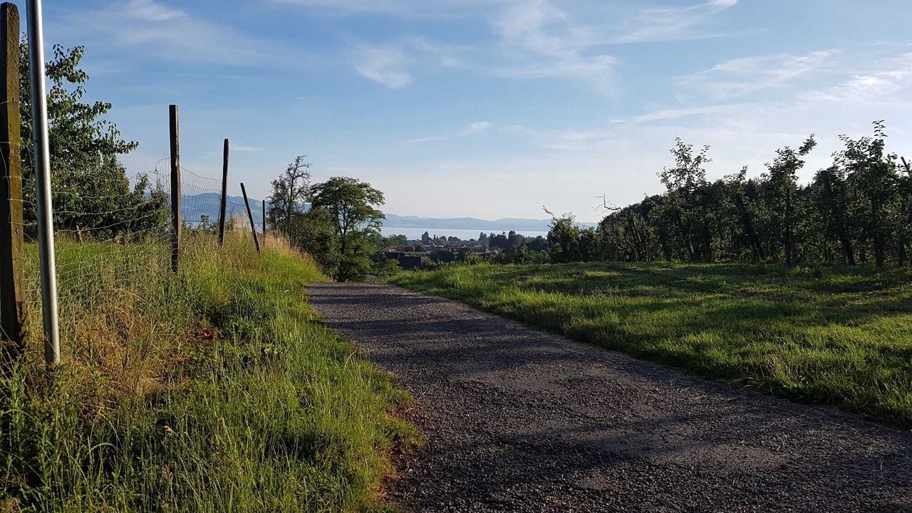 Photo of Outdoor in Bodolz