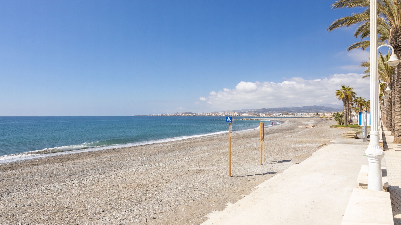 Photo of Others in Algarrobo