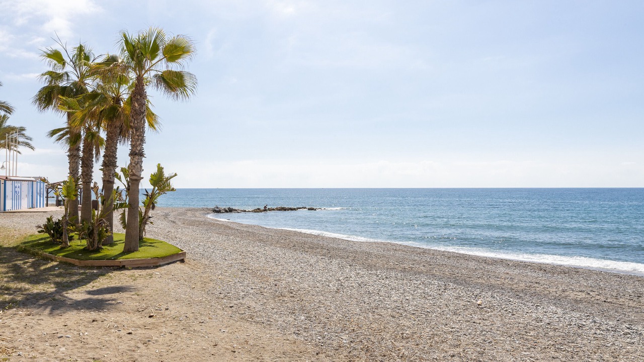 Photo of Others in Algarrobo