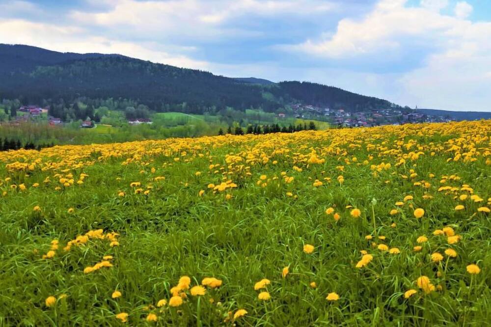 Photo of Outdoor in Arrach