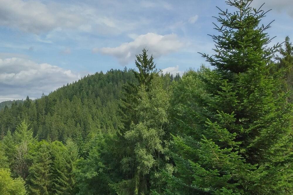 Photo of Outdoor in Wilhelmsthal