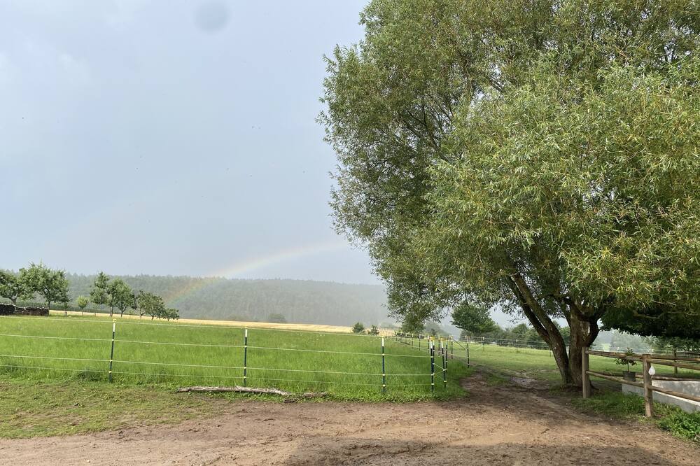 Photo of Others in Geiselwind