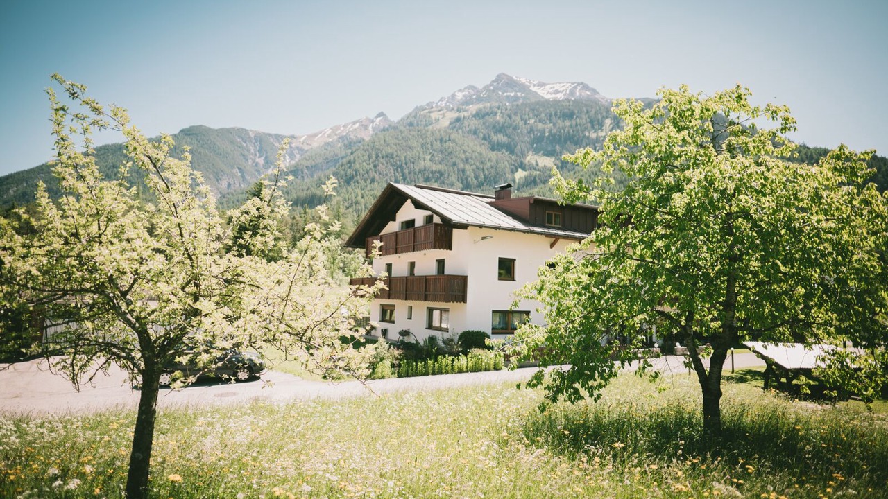 Photo of Outdoor in Bach