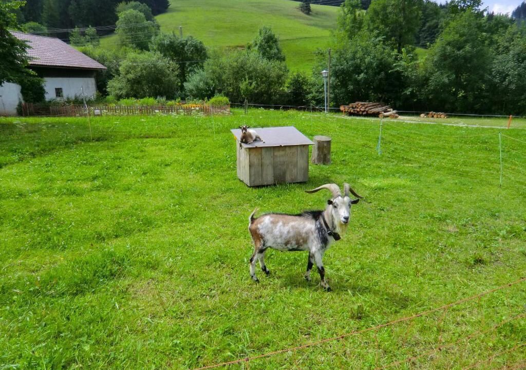 Photo of Outdoor in Rettenberg