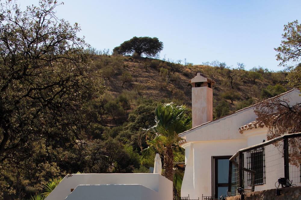 Photo of Outdoor in Almogia