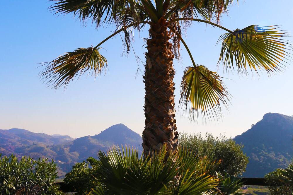 Photo of Outdoor in Almogia