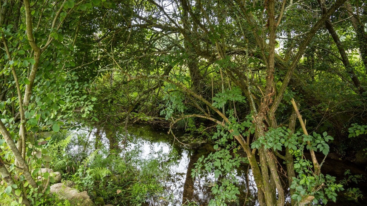 Photo of Outdoor in Dumbria