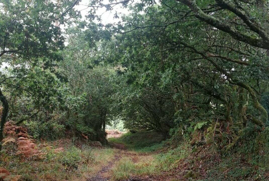 Photo of Outdoor in Dumbria
