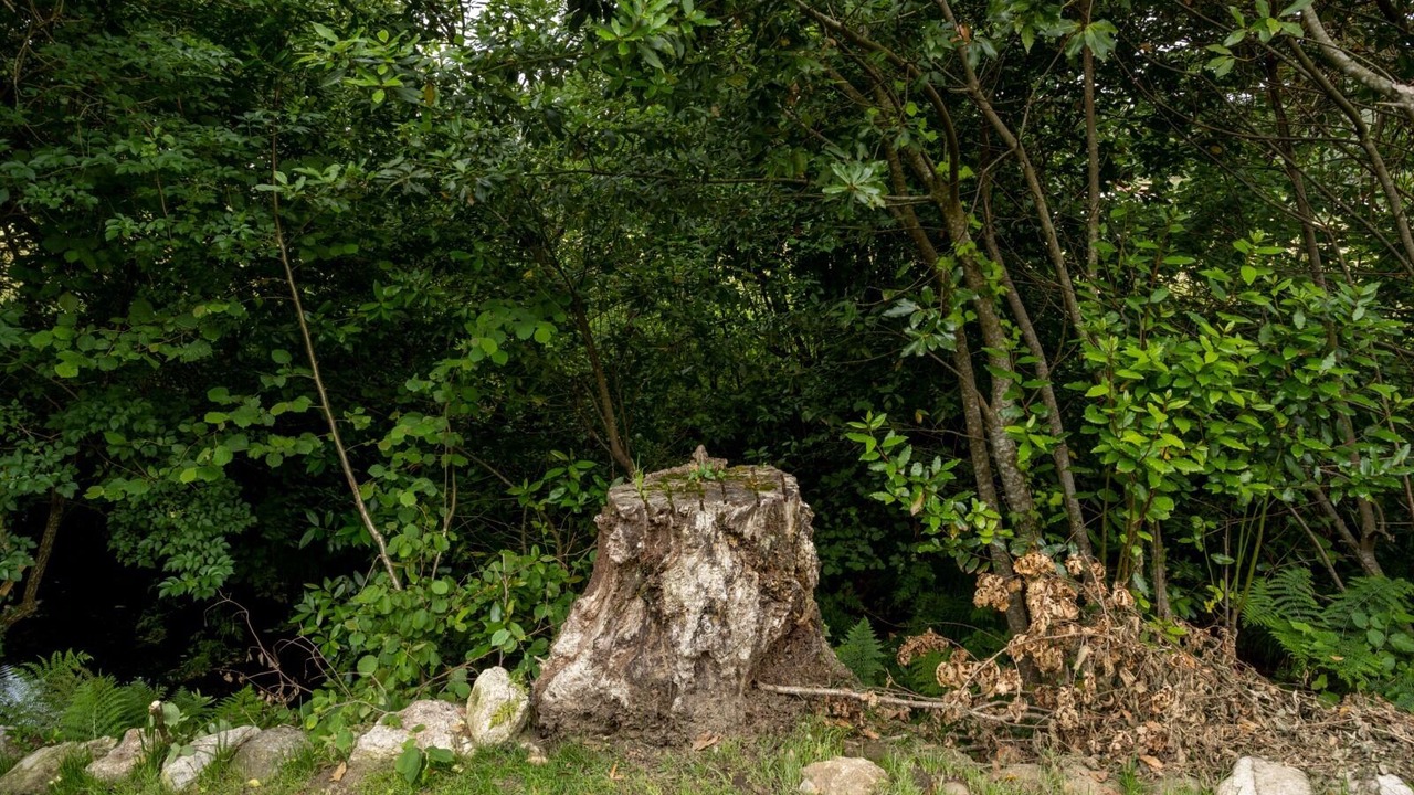 Photo of Outdoor in Dumbria