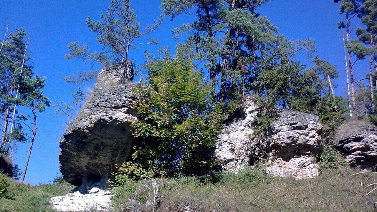Photo of Outdoor in Schesslitz