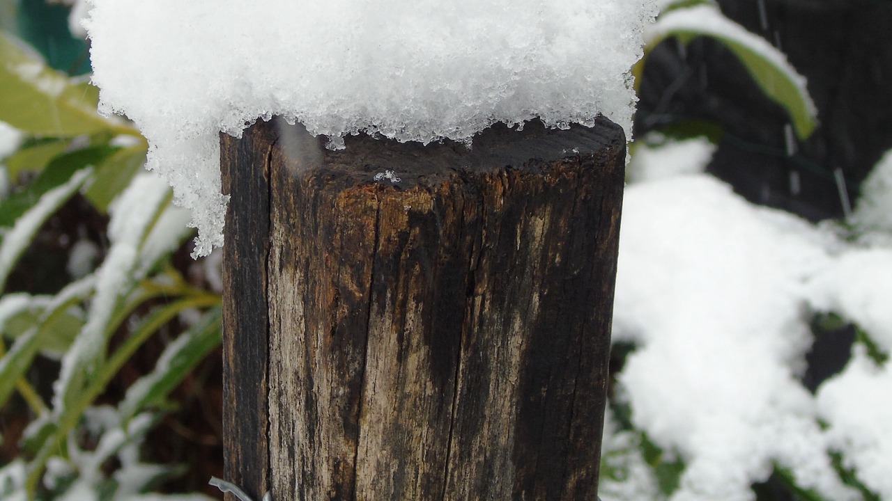 Photo of Outdoor in Schesslitz