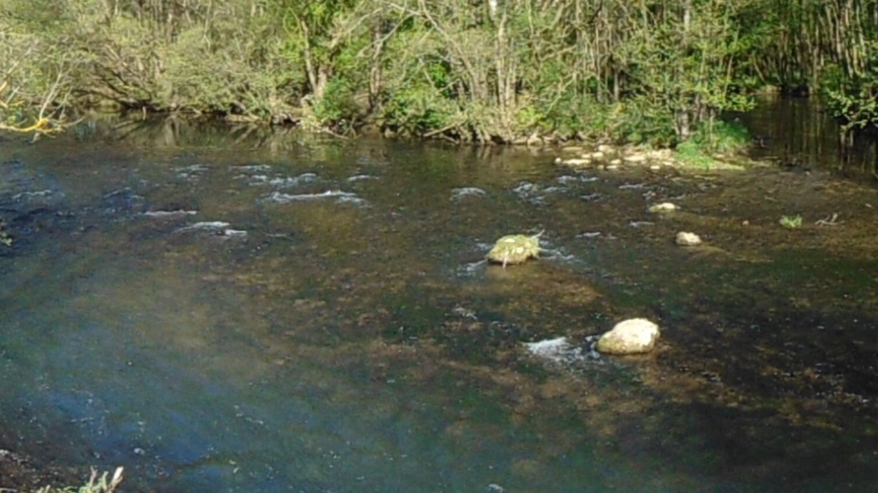 Photo of Others in Schesslitz