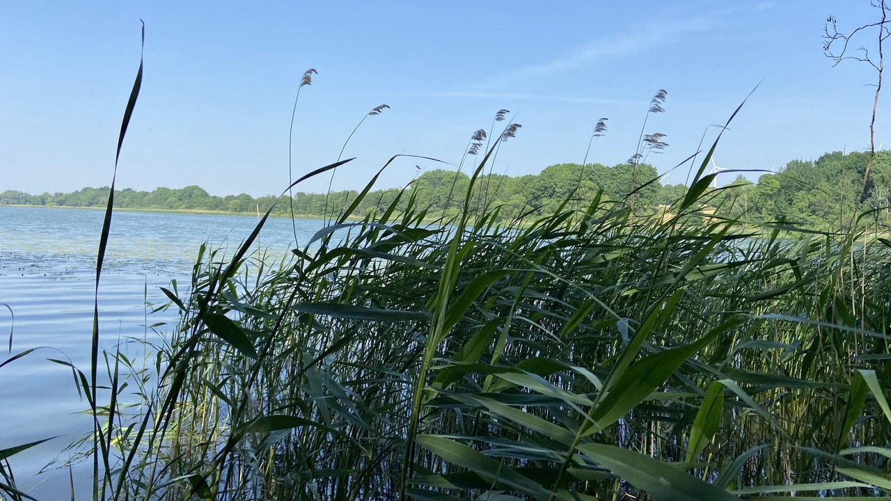 Photo of Others in Kreuzkamp
