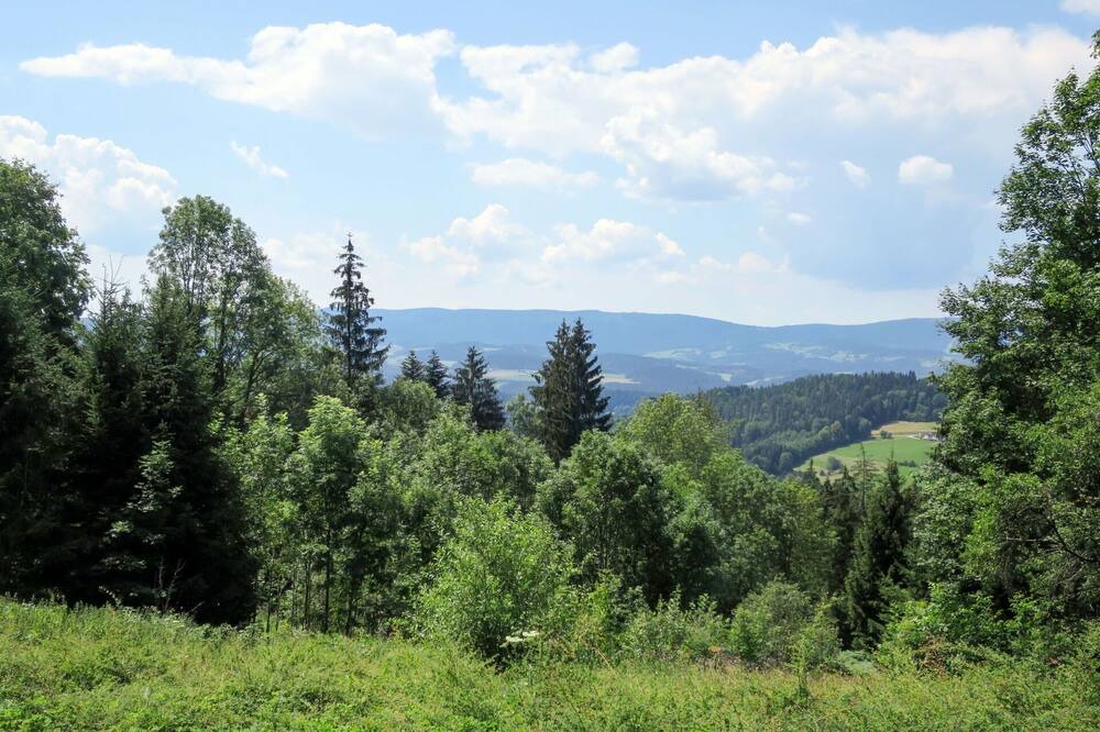 Photo of Others in Viechtach