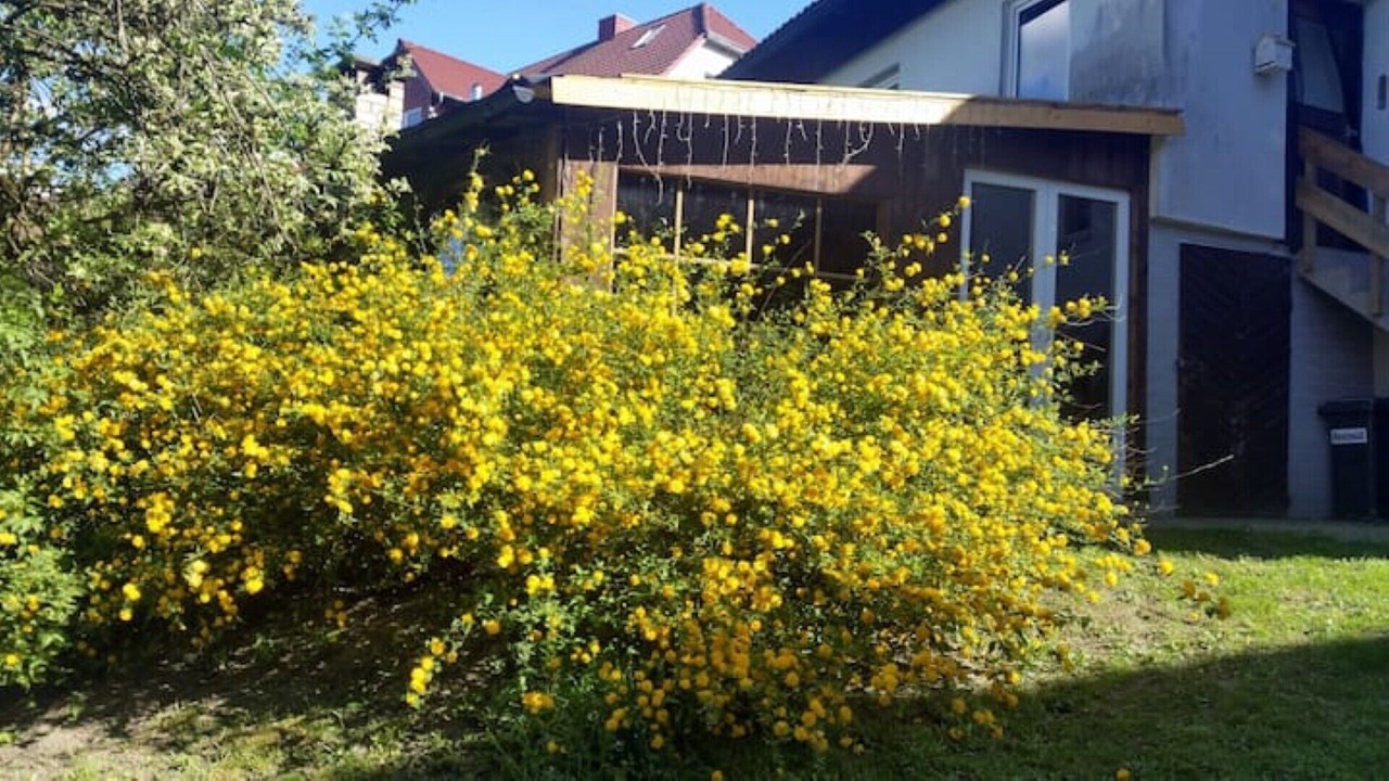 Photo of Outdoor in Presseck
