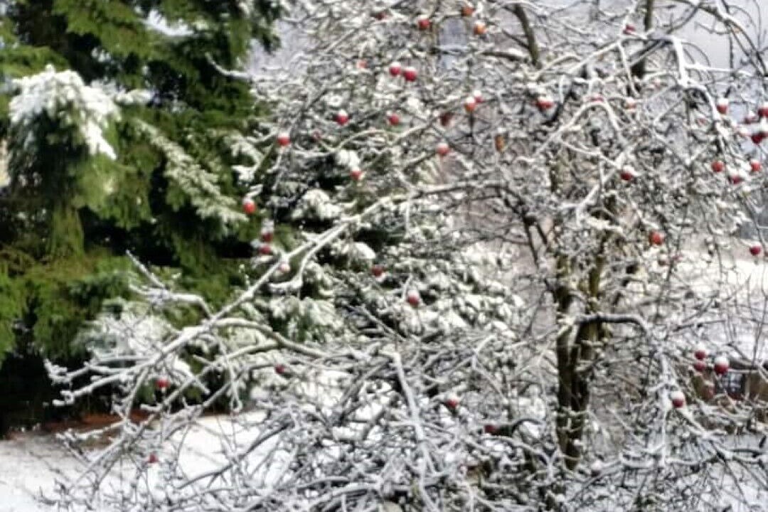Photo of Outdoor in Presseck