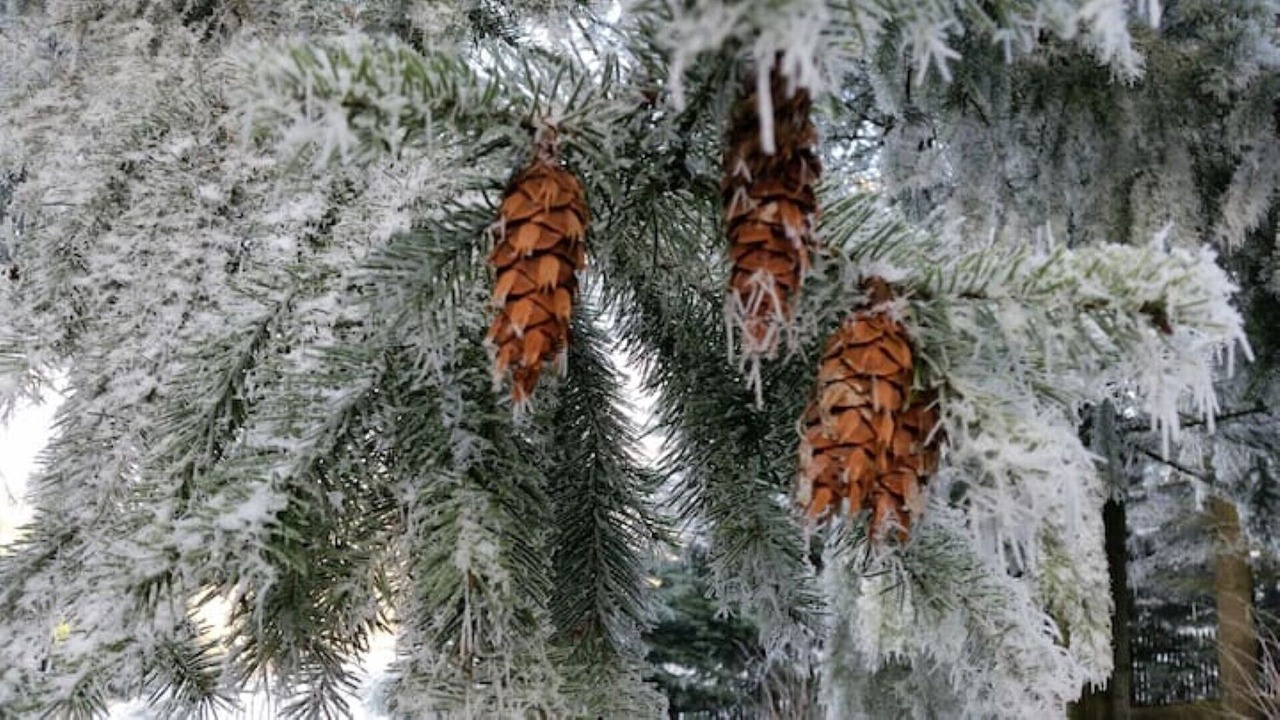 Photo of Outdoor in Presseck