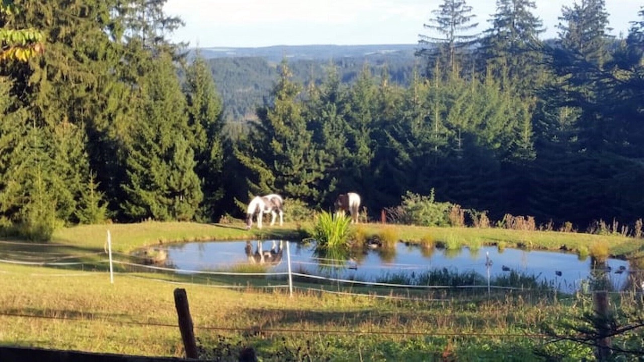 Photo of Outdoor in Presseck