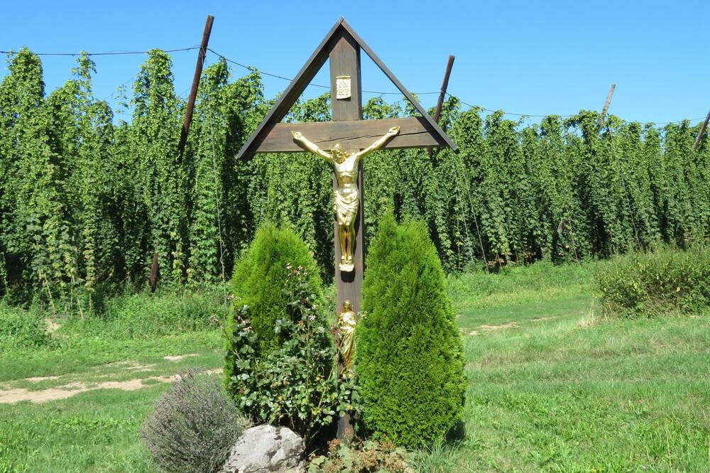 Photo of Outdoor in Osterwaal