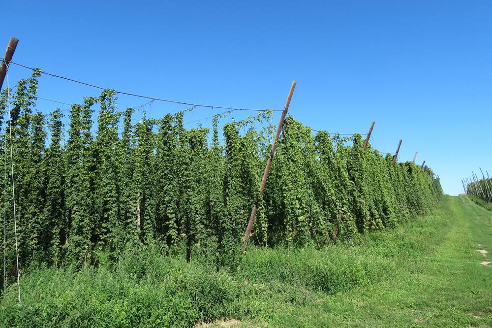 Photo of Outdoor in Osterwaal