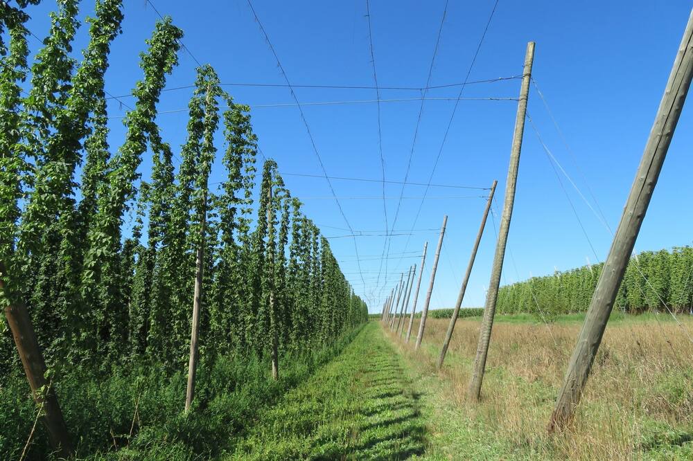 Photo of Outdoor in Osterwaal