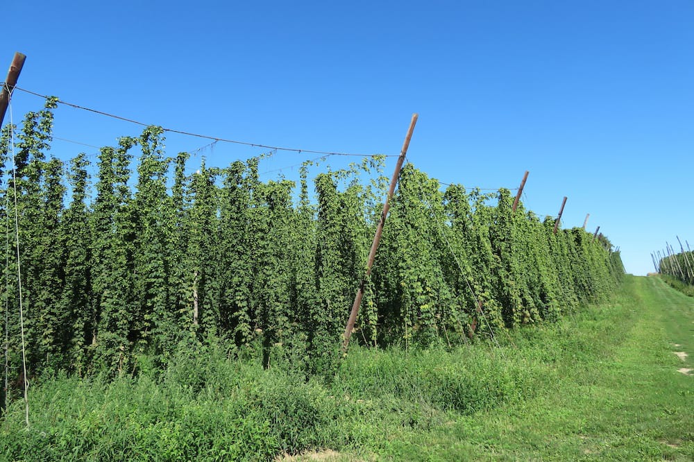 Photo of Outdoor in Osterwaal