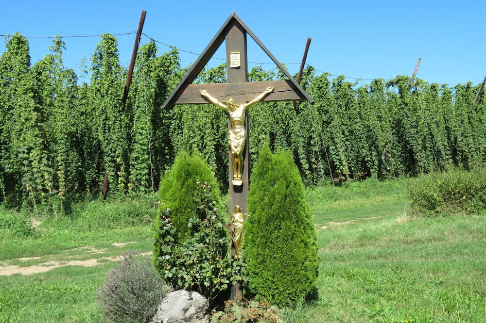 Photo of Outdoor in Osterwaal