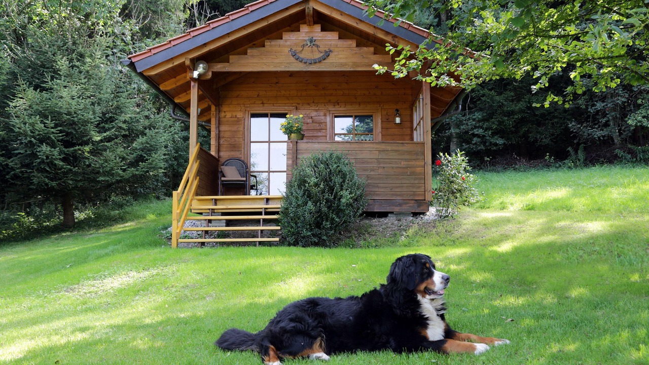 Photo of Outdoor in Unterallgau