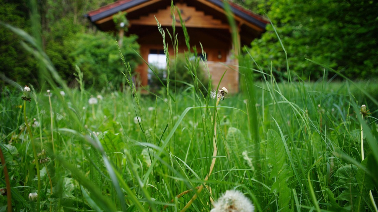 Photo of Outdoor in Unterallgau