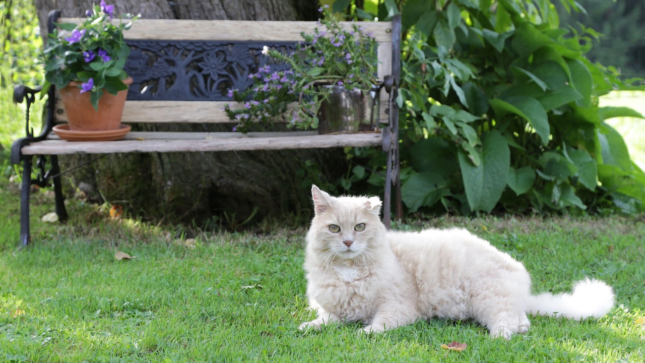 Photo of Outdoor in Unterallgau
