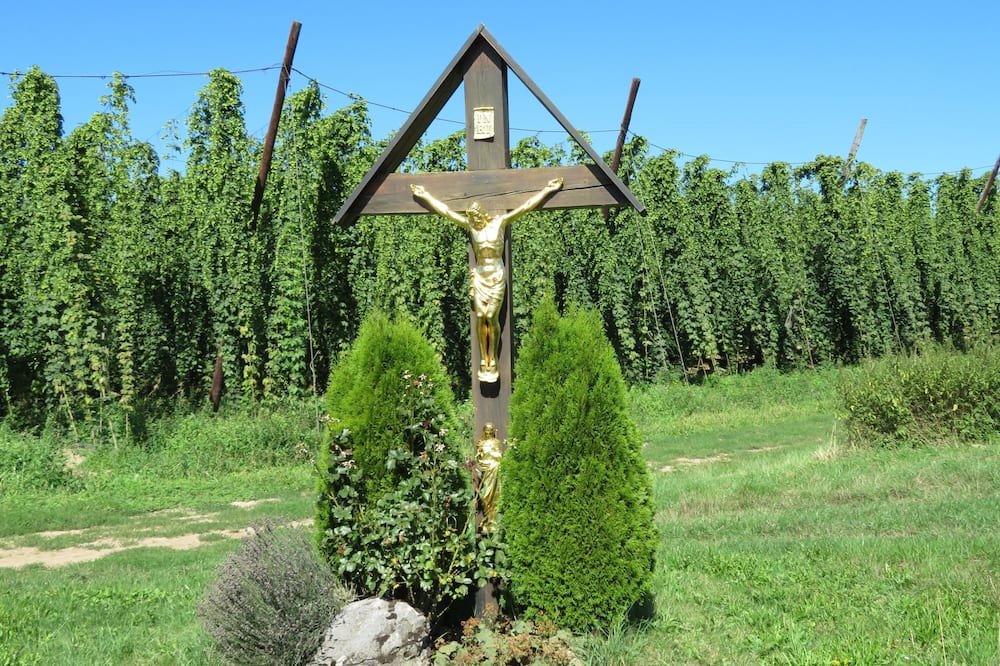 Photo of Outdoor in Osterwaal
