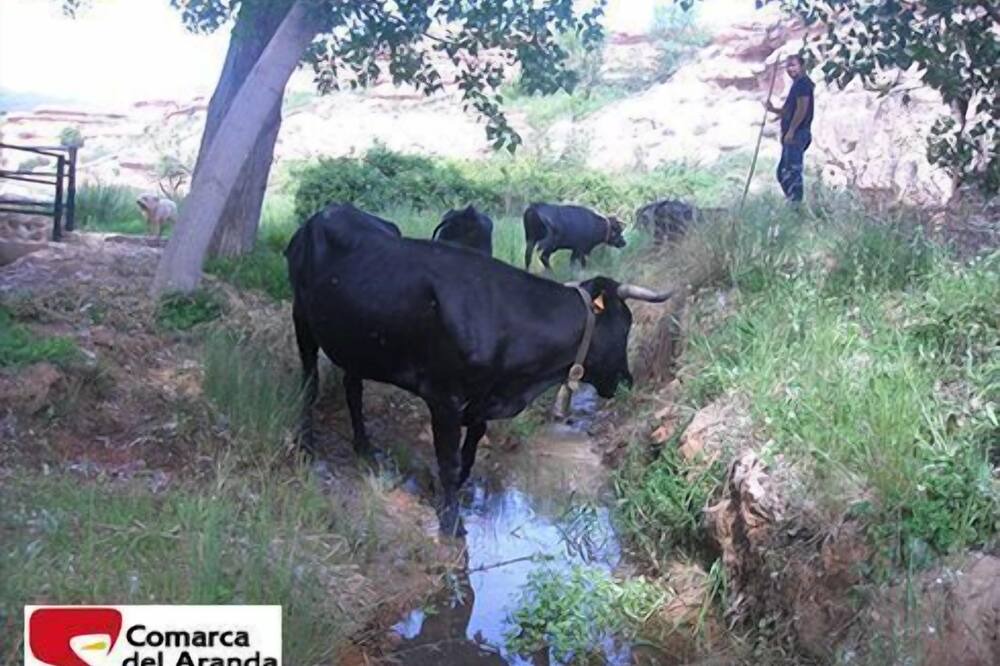 Photo of Outdoor in Aranda de Moncayo
