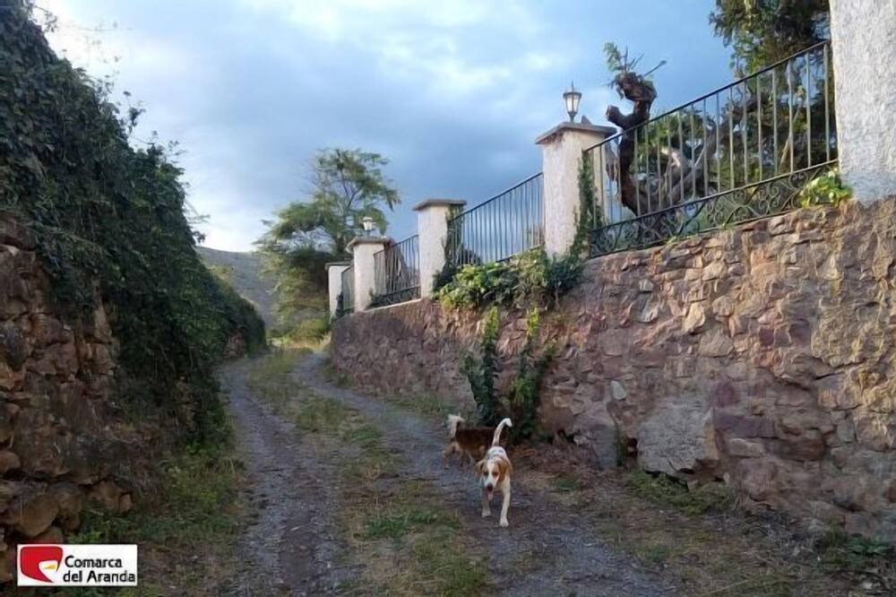 Photo of Outdoor in Aranda de Moncayo