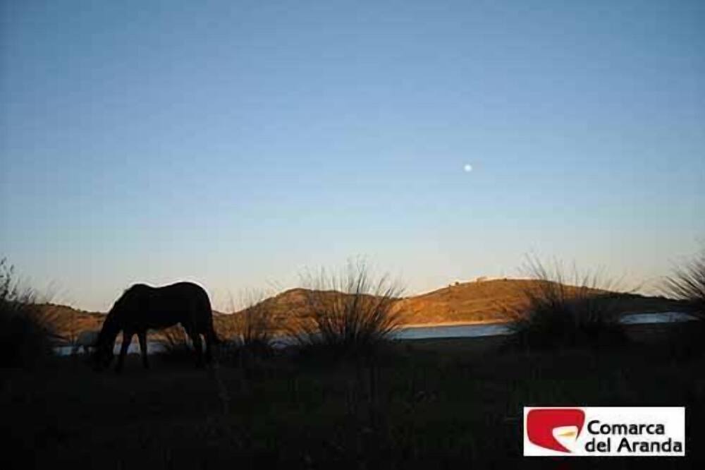 Photo of Others in Aranda de Moncayo
