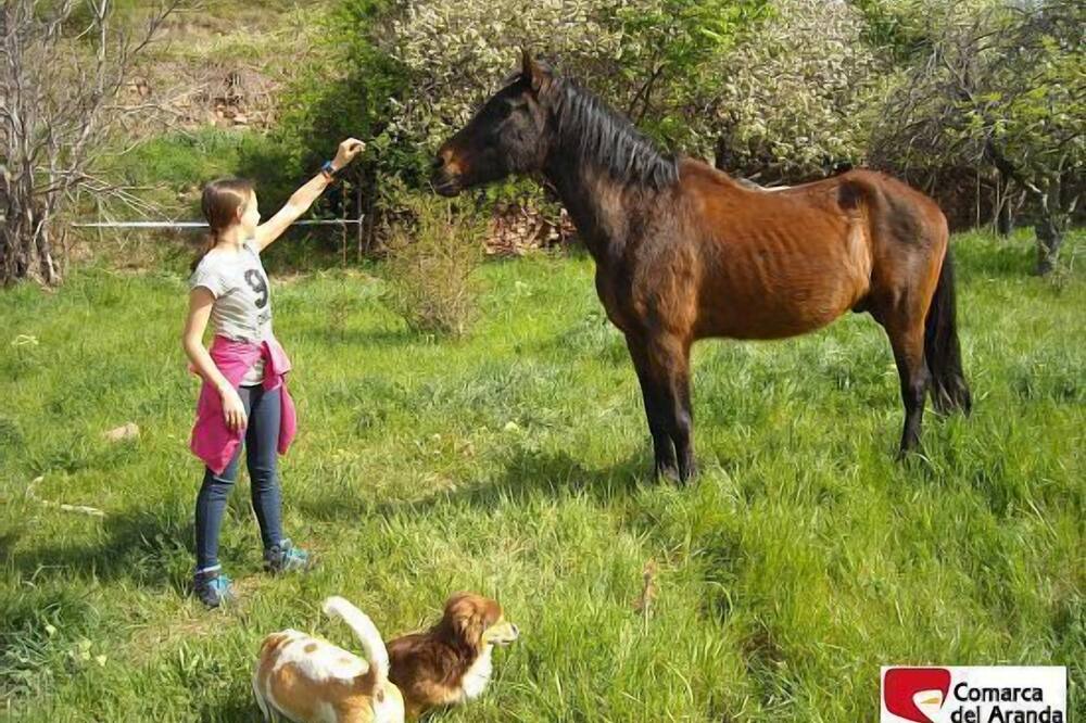 Photo of Others in Aranda de Moncayo
