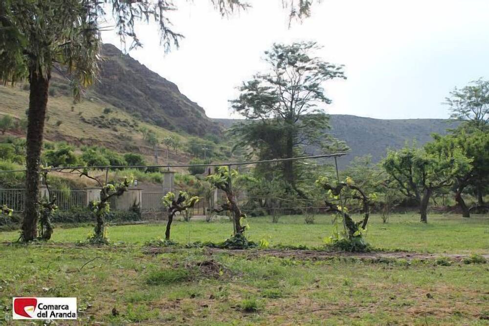 Photo of Outdoor in Aranda de Moncayo