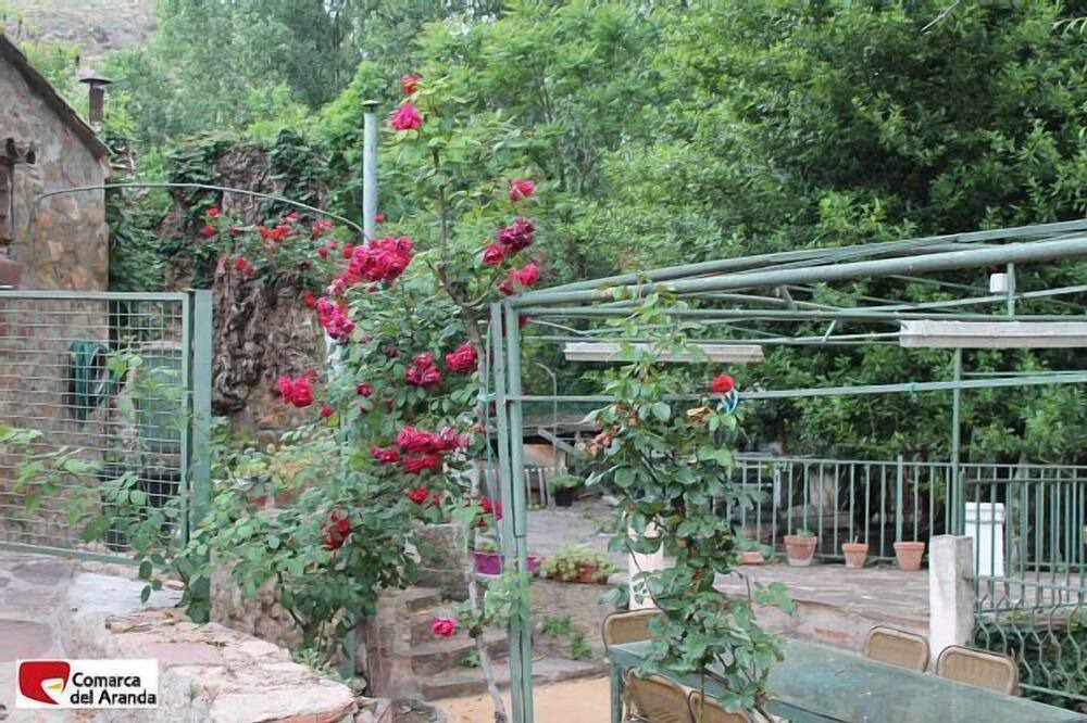 Photo of Outdoor in Aranda de Moncayo