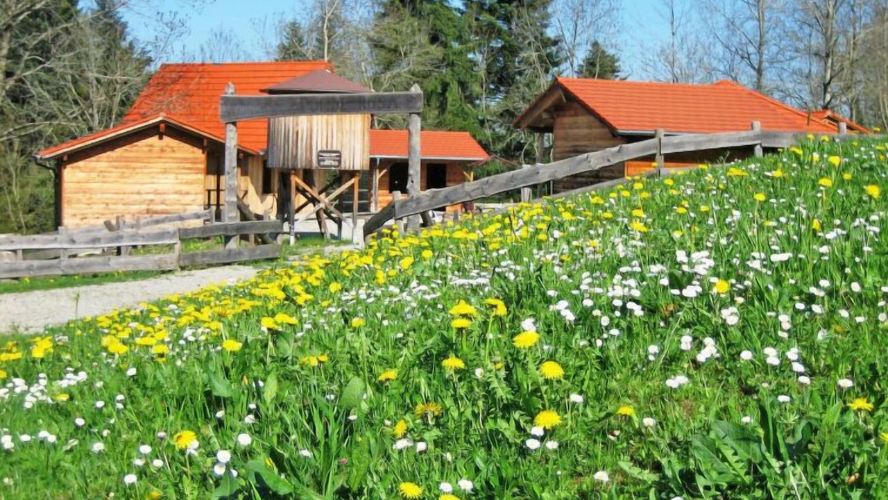 Photo of Outdoor in Stockach