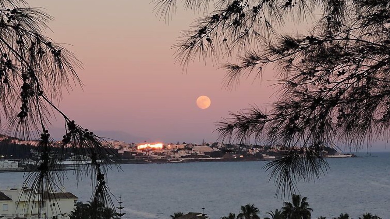 Photo of Outdoor in Mijas