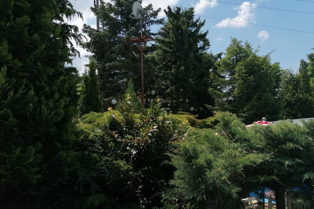 Photo of Outdoor in Berggieshubel
