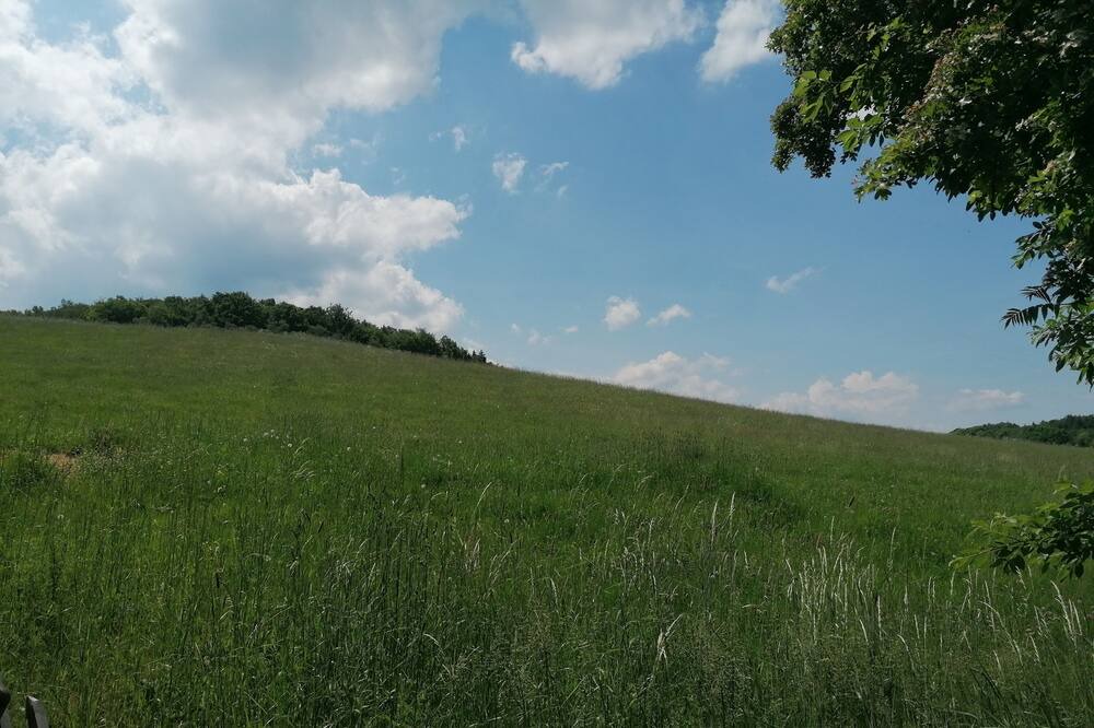 Photo of Outdoor in Berggieshubel