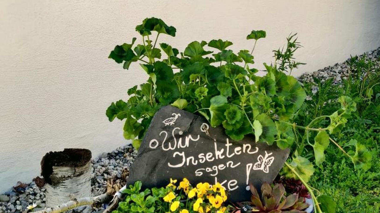 Photo of Outdoor in Neuklingenberg