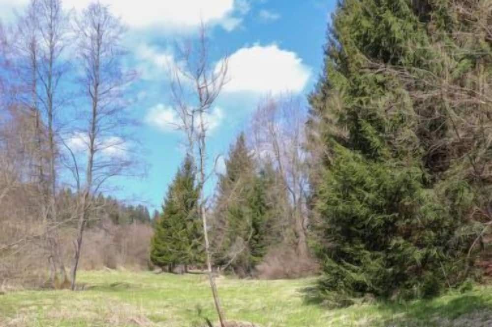 Photo of Outdoor in Muhlberg
