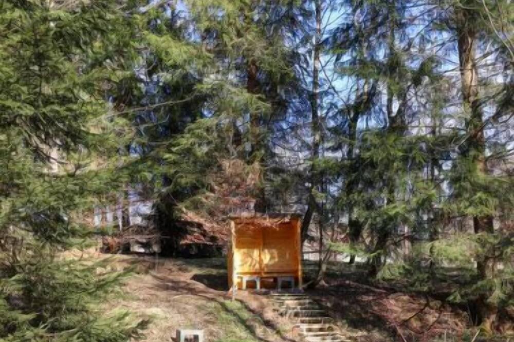 Photo of Outdoor in Muhlberg