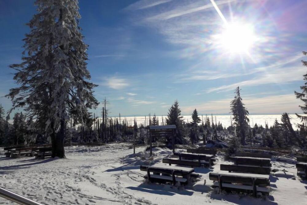 Photo of Others in Muhlberg