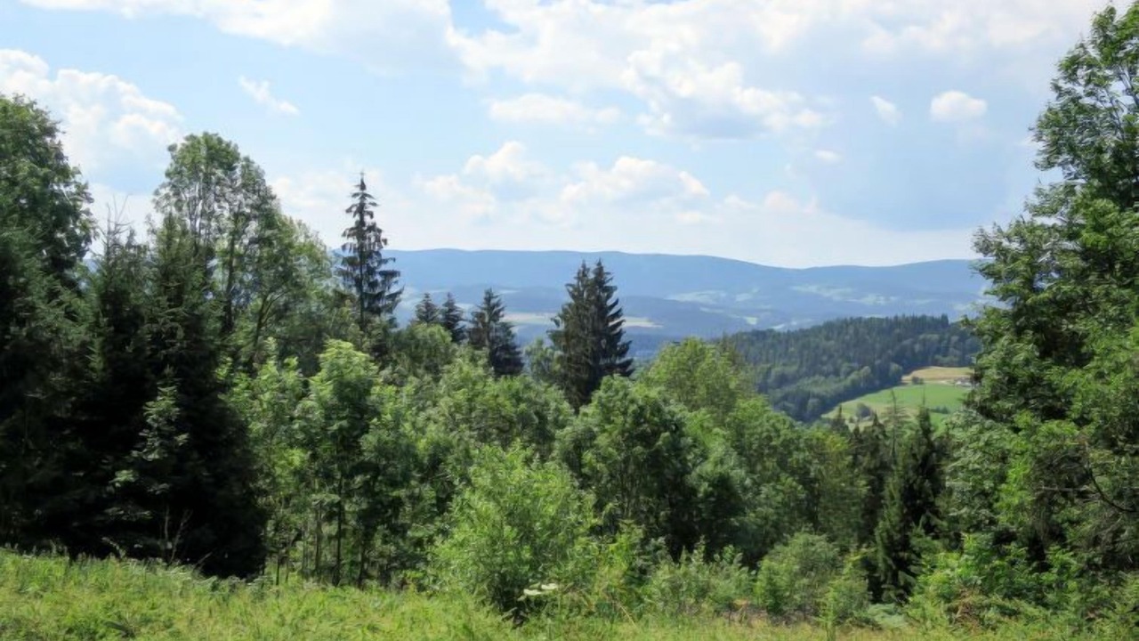 Photo of Outdoor in Viechtach