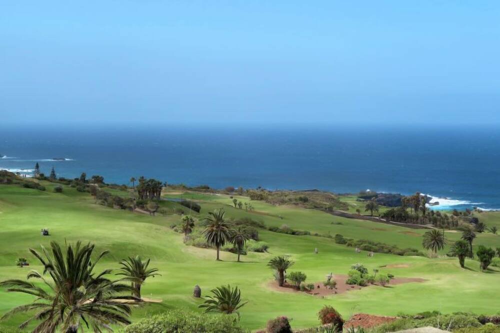 Photo of Others in Buenavista del Norte
