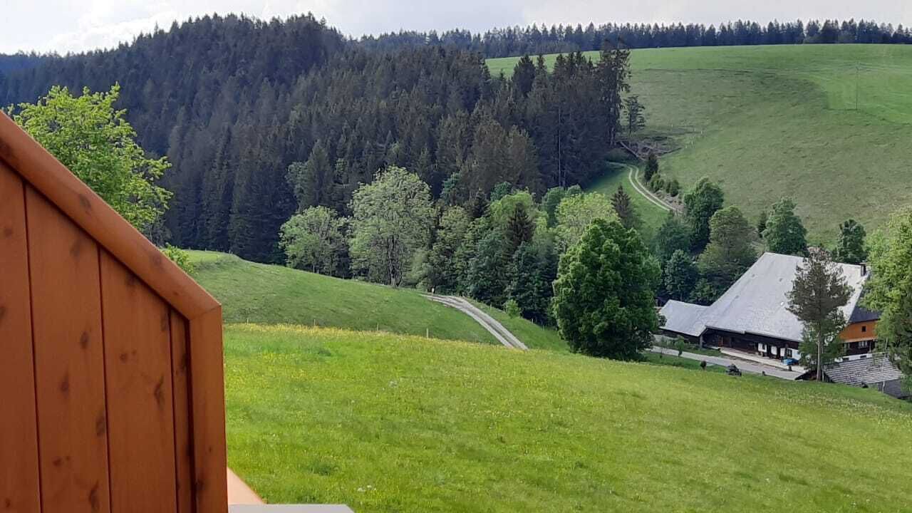 Photo of Outdoor in Furtwangen
