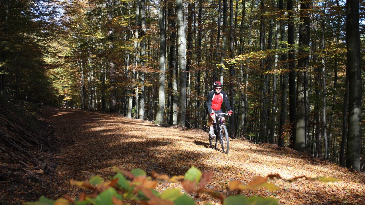 Photo of Outdoor in Speicherz